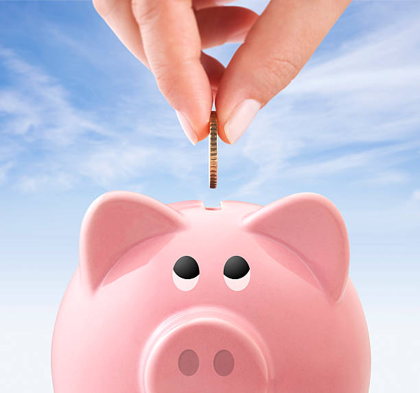 istock Hand is inserting a coin into piggy bank 185263732