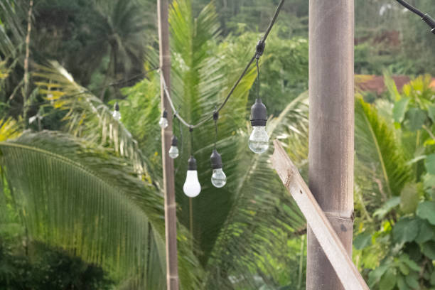 istock beautiful lined bulb at a cafee in indnesia 1852643562