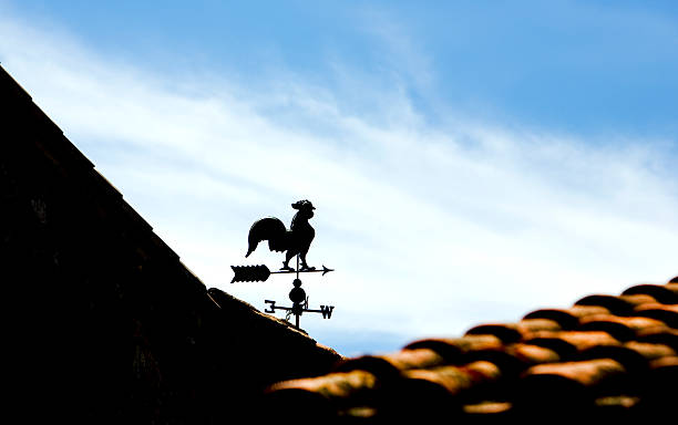 banderuola - roof roof tile rooster weather vane foto e immagini stock