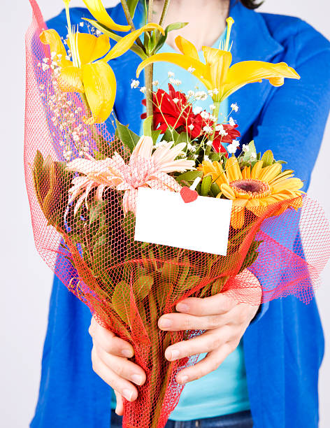 frau holding blumen - flower sparse single flower gerbera daisy stock-fotos und bilder