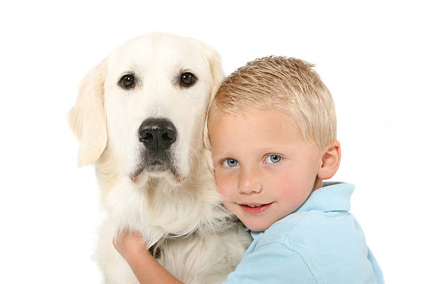 Boy embraces dog stock photo