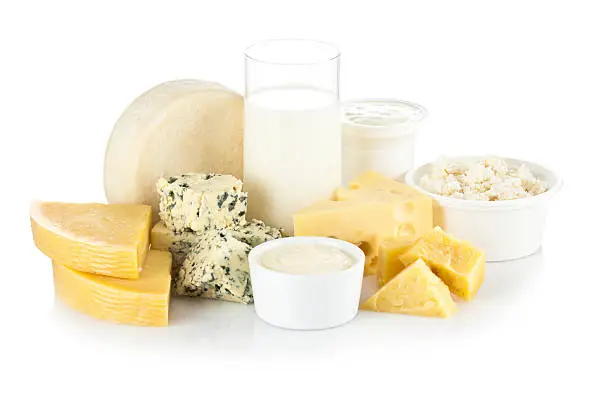 "Dairy Products on White Background. Includes: Milk, Ricotta, Various Types of Cheese and Yogurt.."