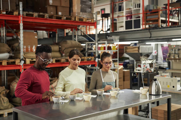 Experts Inspecting Coffee Quality during Cupping in Coffee Factory
