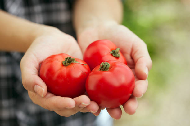 Please view more rustic food images here: