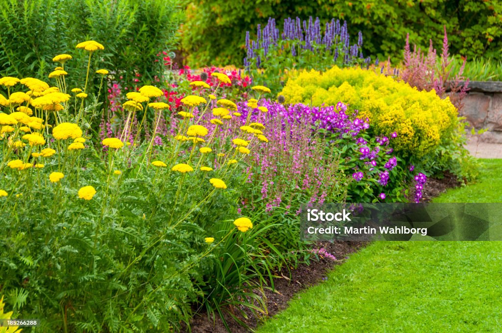 Colorful Summer Flowerbed Flowerbed in lovely colors Beauty In Nature Stock Photo