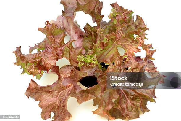 레드 산호색 수경 재배 야채 0명에 대한 스톡 사진 및 기타 이미지 - 0명, 갈색, 날것