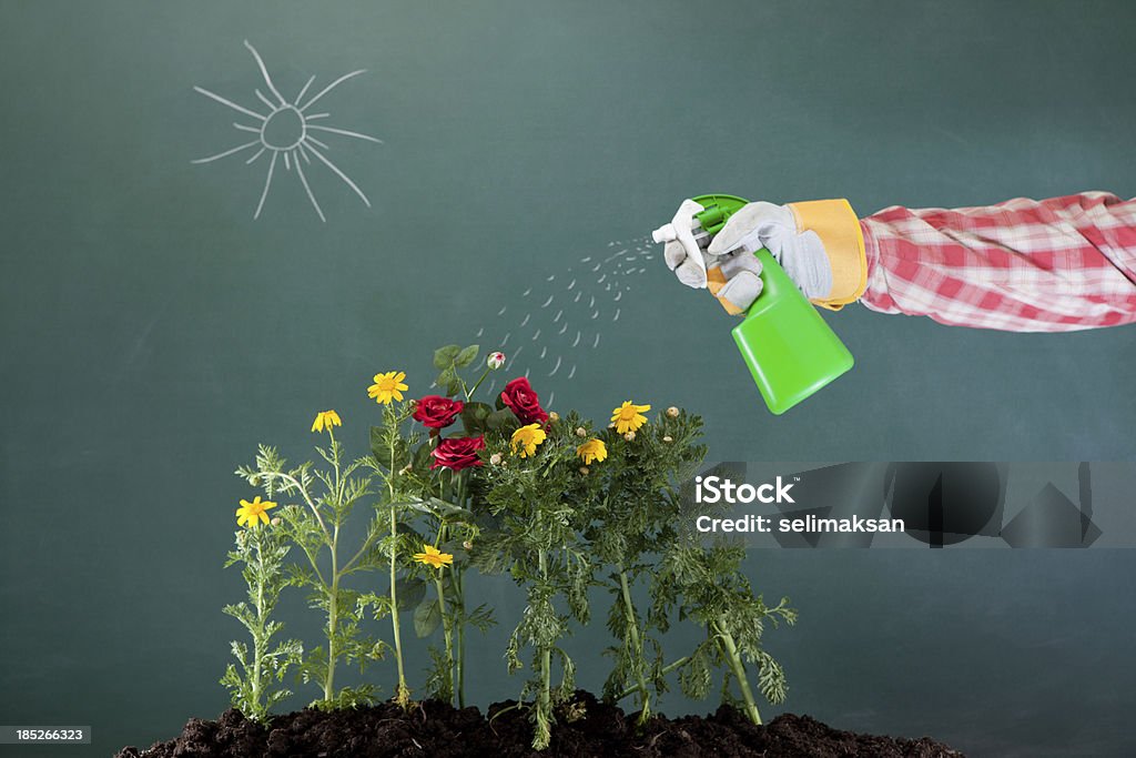 Rozpylanie, gleby i kwiaty Rysunek na Tablica - Zbiór zdjęć royalty-free (Ciecz)