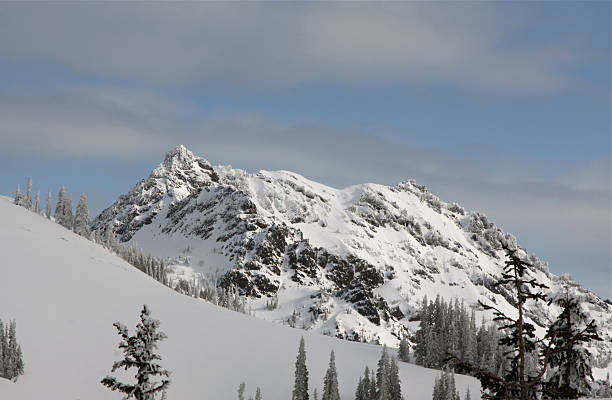 istock Snow Capped Peak In Olympic National Park 185266467