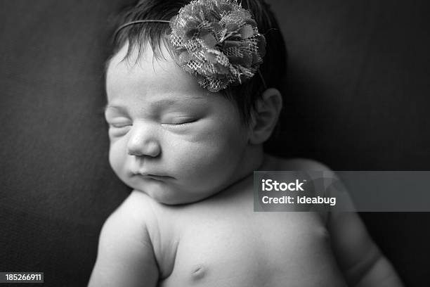 Schwarzweißbild Von Hübsche Für Neugeborene Babys Mädchen Stockfoto und mehr Bilder von Abgeschiedenheit