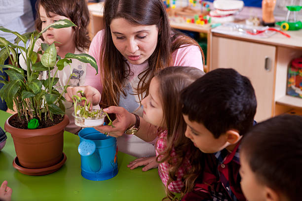 preschoolers e professor - preschooler plant preschool classroom imagens e fotografias de stock