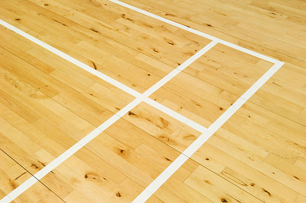istock Badminton court markings 185267454