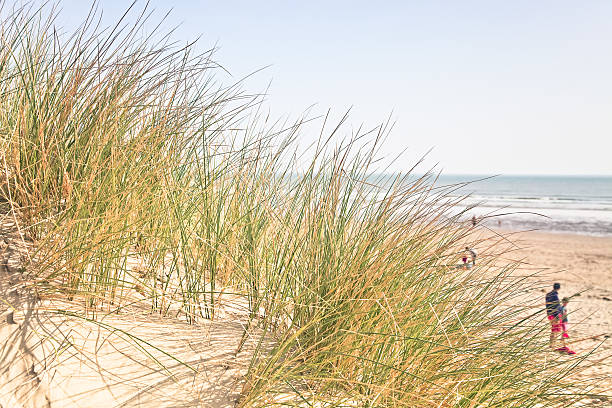 istock sunny day at the beach 185268225