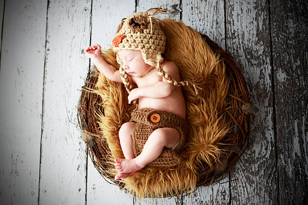 новорожденный ребенок в гнездо в виде совы костюм - baby animal nest newborn lying down стоковые фото и изображения