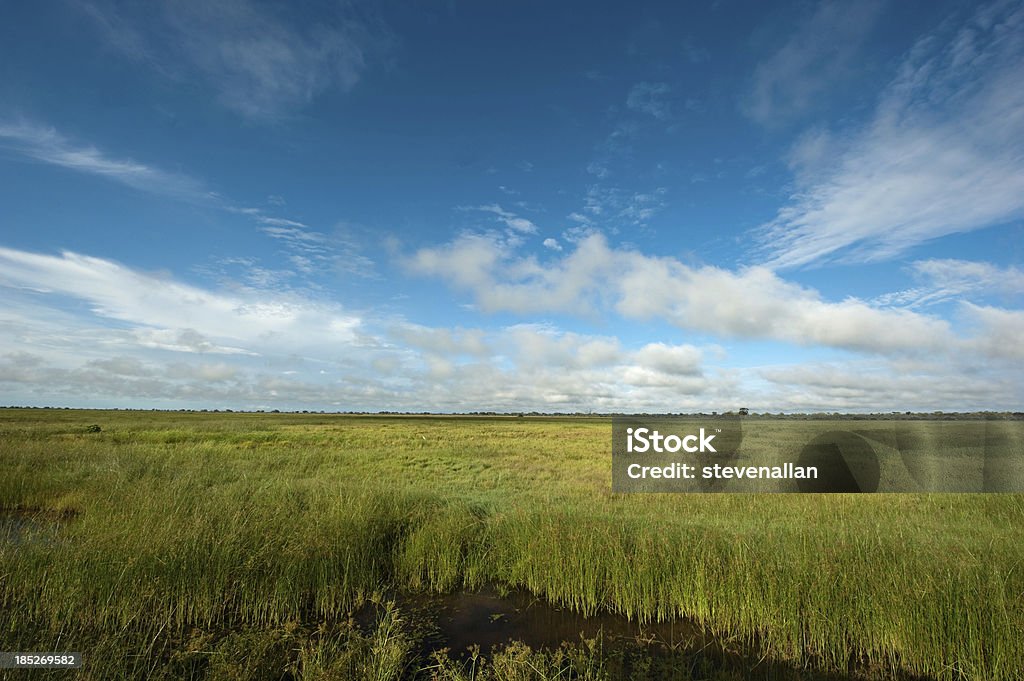 Botswana landscape Africa Stock Photo