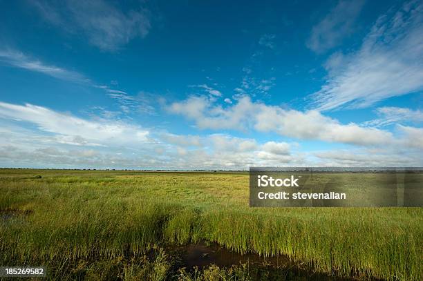 Botswana Landscape Stock Photo - Download Image Now - Africa, Blue, Botswana