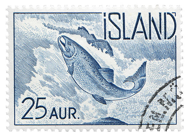 Salmon Iceland postage stamp: Salmon jumping to upper river roe river stock pictures, royalty-free photos & images