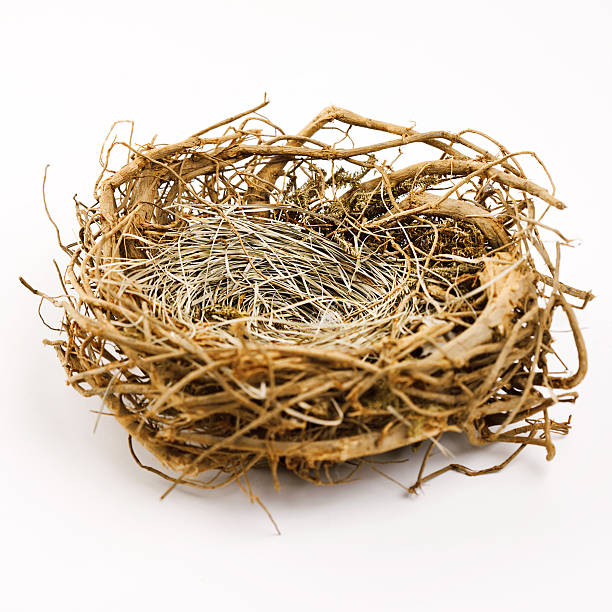 nest - easter nest stock-grafiken, -clipart, -cartoons und -symbole