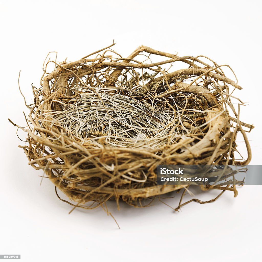 Nest - Zbiór ilustracji royalty-free (Gniazdo zwierzęce)