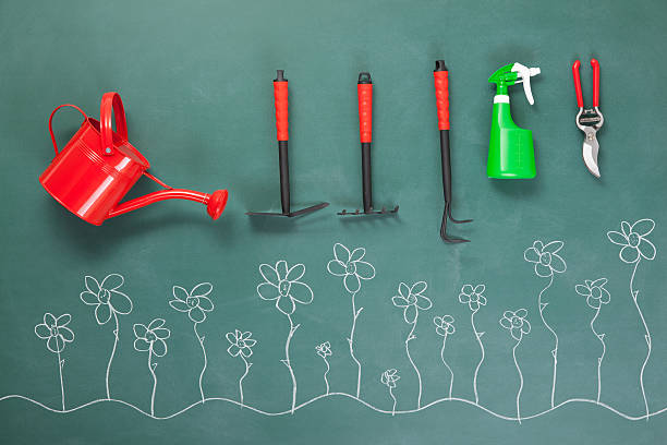 istock Gardening equipments on green blackboard 185269997