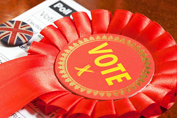 istock Socialist Party Vote 185270113