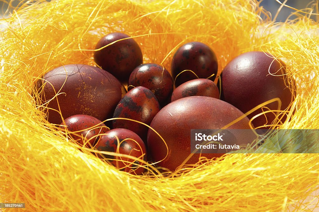 Painted Easter Eggs Painted Easter eggs in a nest of yellow Animal Nest Stock Photo