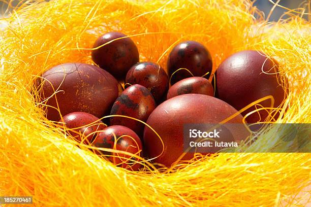 Painted Easter Eggs Stock Photo - Download Image Now - Animal Nest, Animal Shell, Basket