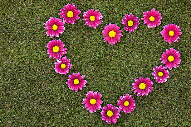 istock heart of flowers 185270659