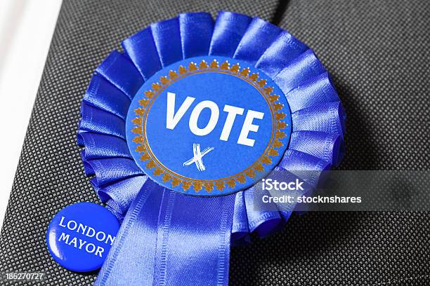블루 천문학자 투표하다 2012년에 대한 스톡 사진 및 기타 이미지 - 2012년, Conservative Party, Political Party
