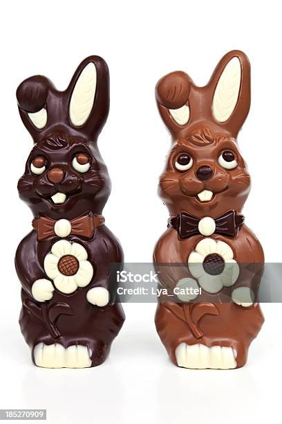 Pascua 31 Xxxl Foto de stock y más banco de imágenes de Conejo de chocolate - Conejo de chocolate, Alimento, Bebida