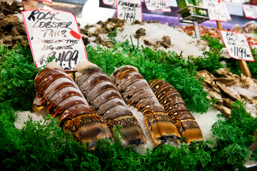 Lobster tail and other seafood (oysters) for sale at a market