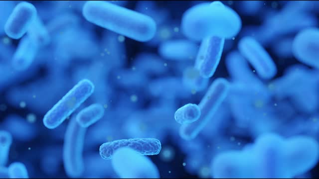 Resistance to antibacterial agents, growth of bacteria in the intestines