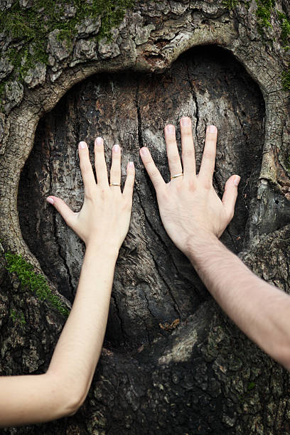 Hands of a couple stock photo