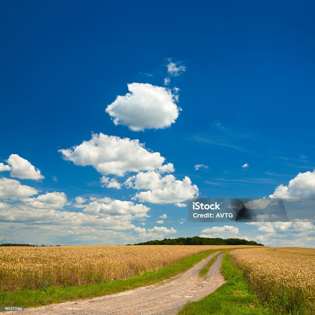 Sommer-Landschaft mit verschlungenen Dusty Farm Road durch kurzes Felder - Lizenzfrei Agrarbetrieb Stock-Foto