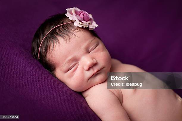 カラーイメージの貴重な新生児の女の子にパープルの背景 - 1人のストックフォトや画像を多数ご用意 - 1人, It's A Girl, くつろぐ