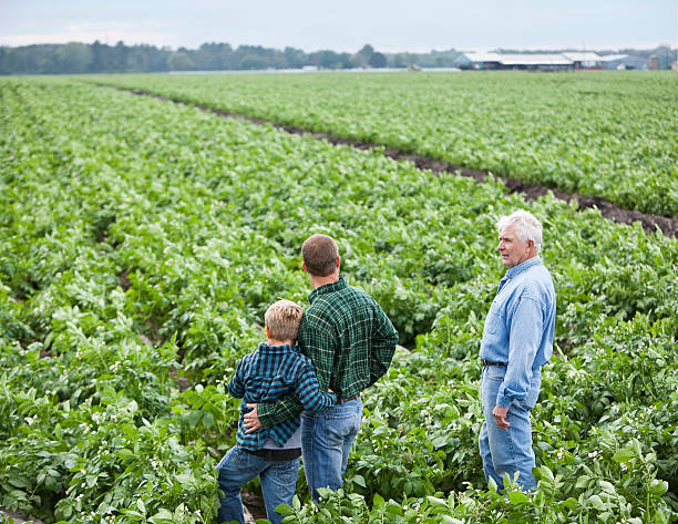 istock Family farm 185271958
