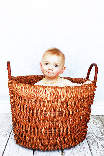 istock Baby in a Basket 185272063