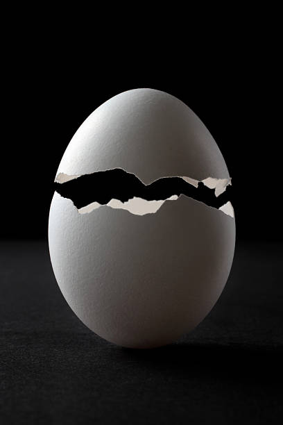 vida nova - eggs cracked opening fragile imagens e fotografias de stock