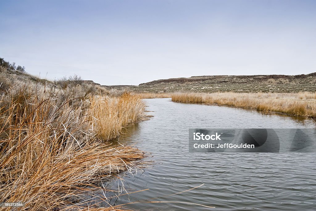 Pothole Marsh Surrounded by Dead Grasses There are many pothole lakes and ponds in the scablands of Central Washington. Frog Lake is in the Columbia National Wildlife Refuge near Othello, Washington State, USA. Beauty In Nature Stock Photo