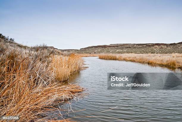Pothole Marsh Surrounded By Dead Grasses Stock Photo - Download Image Now - Beauty In Nature, Color Image, Desert Area