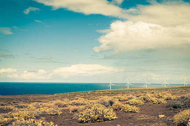 Wind turbine farm in Canary islands