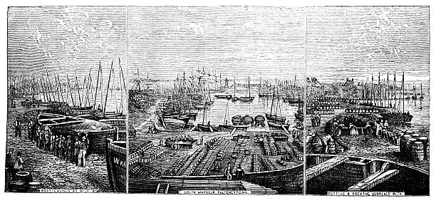 istock 19th century engraving of the docks at Wick, Scotland 185272701