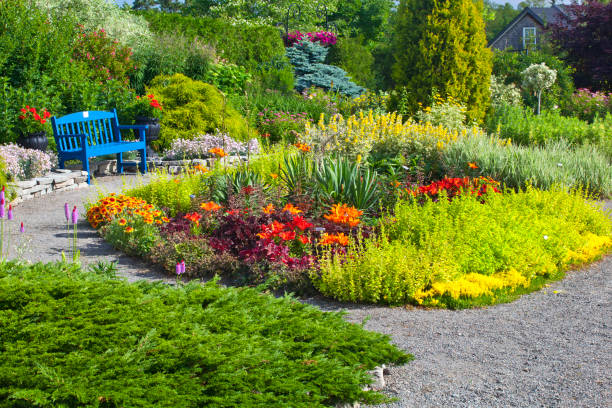 Panca da giardino e fiori blu - foto stock