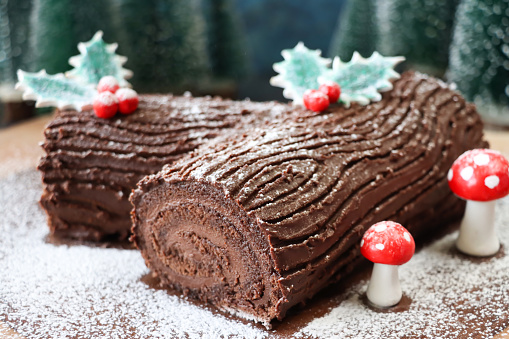 Stock photo showing close-up view of a chocolate Yule log cake that is prepared as part of the Christmas season celebrations in a Christmas forest scene of plastic, model Spruce trees. Fondant mushrooms and holly leaves with red berries on a Swiss roll sponge that has been filled with a rich chocolate ganache icing and covered in chocolate buttercream which has been etched with a natural tree bark pattern. A view of the end of the 'branch' displays the 'tree rings' inside the cake.
