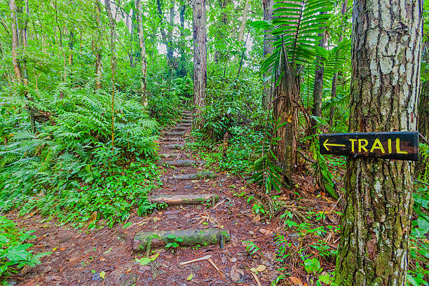 istock Vermont Nature Trail, St. Vincent 185273295