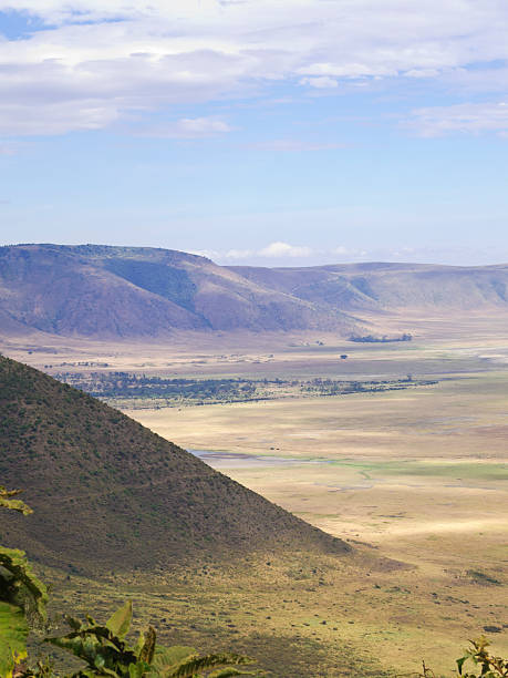 istock Ngorongoro detail 185273545