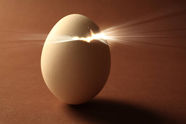 New Life "A hatching egg with light shining through the cracks. It's a photo of an actual egg, NOT 3D rendering." concepts topics stock pictures, royalty-free photos & images