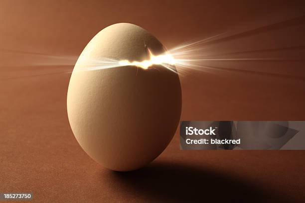 New Life Stock Photo - Download Image Now - Animal Egg, Concepts, Change