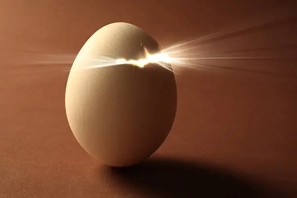 "A hatching egg with light shining through the cracks. It's a photo of an actual egg, NOT 3D rendering."