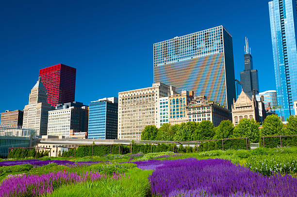 istock Millenium Park Gardens and Chicago downtown buildings 185273833