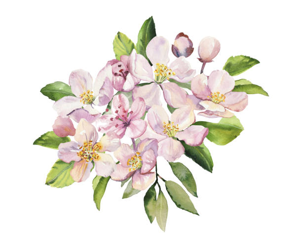 istock Watercolor spring sakura pink flowers and leaves branch 1852738897